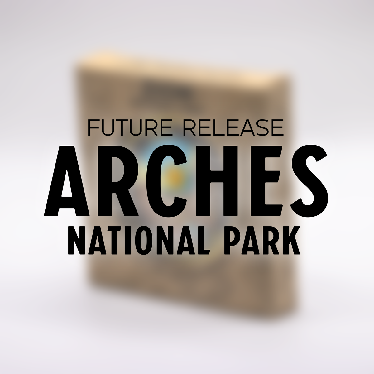 Arches National Park Challenge Coin
