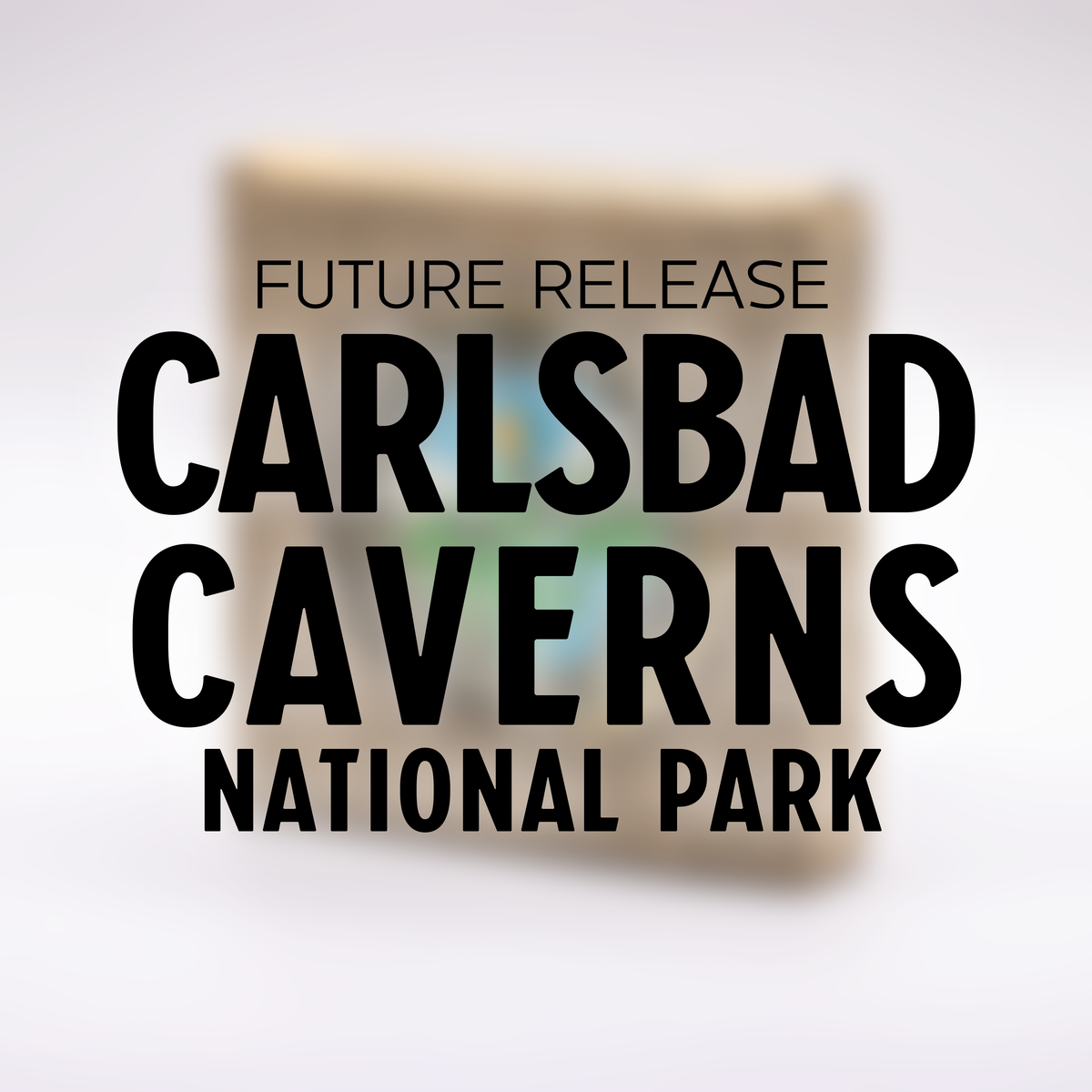 Carlsbad Caverns National Park Challenge Coin