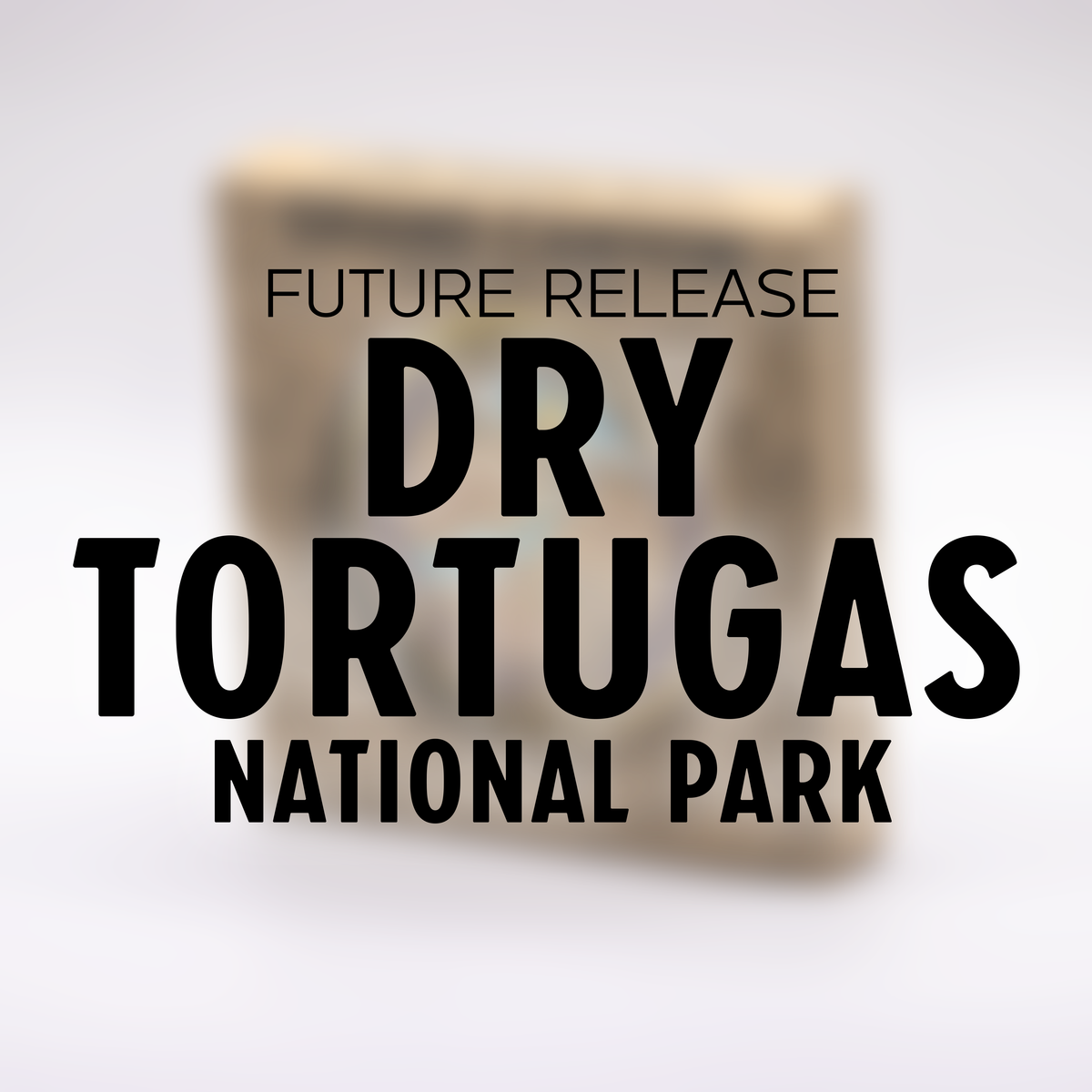 Dry Tortugas National Park Challenge Coin