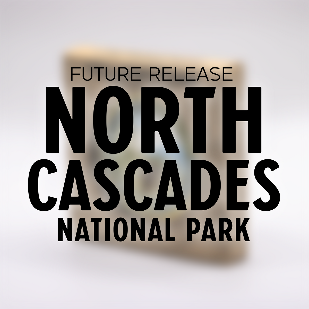 North Cascades National Park Challenge Coin