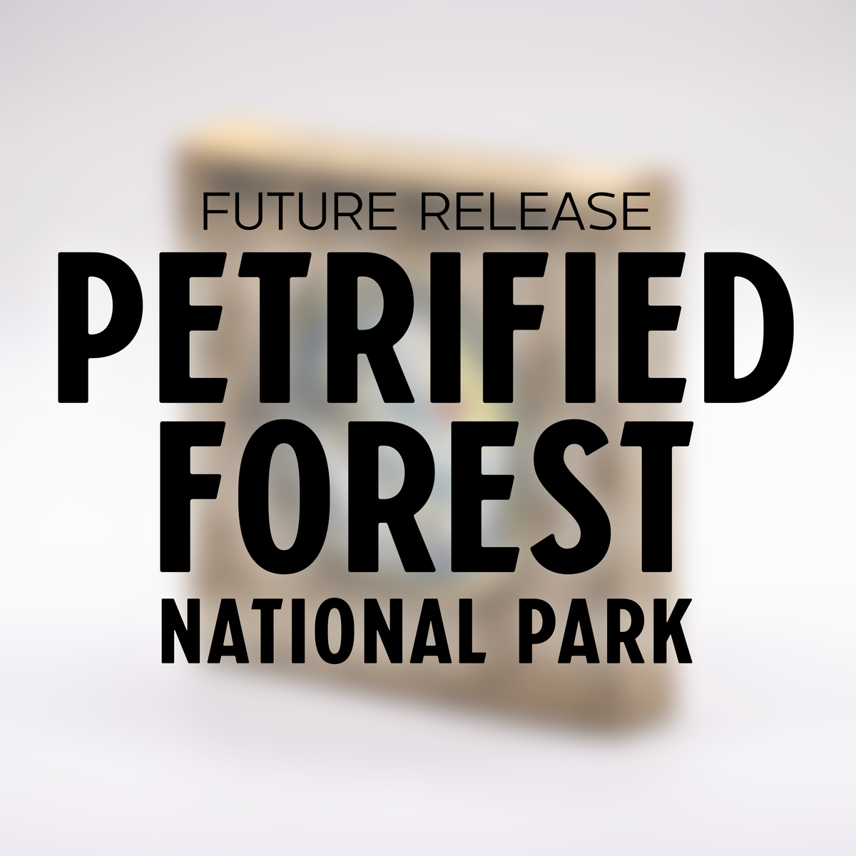 Petrified Forest National Park Challenge Coin