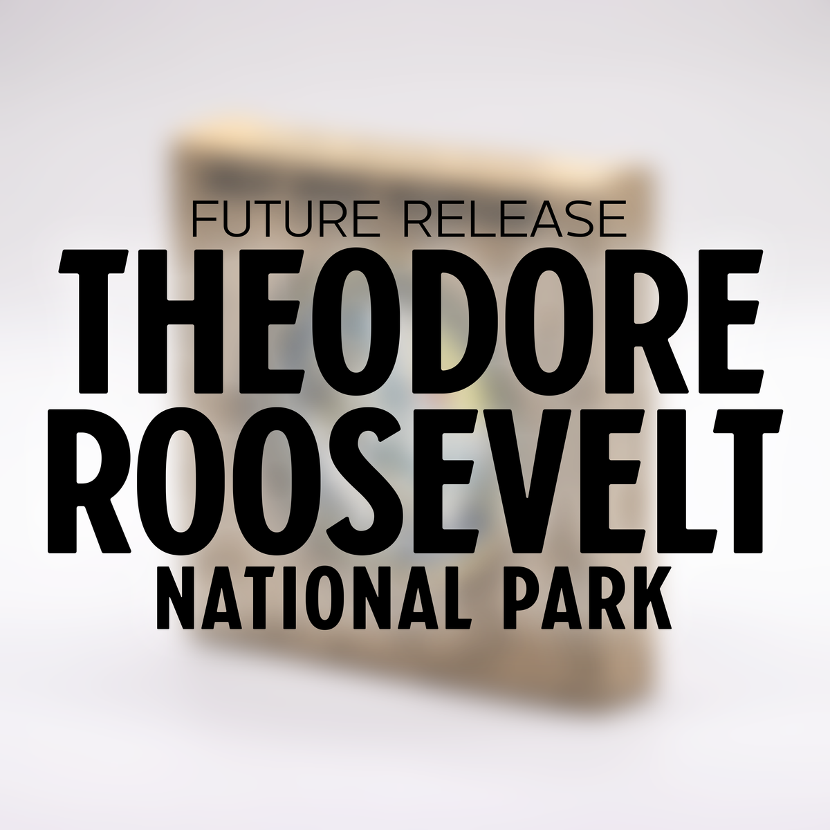 Theodore Roosevelt National Park Challenge Coin